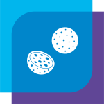 Microspheres